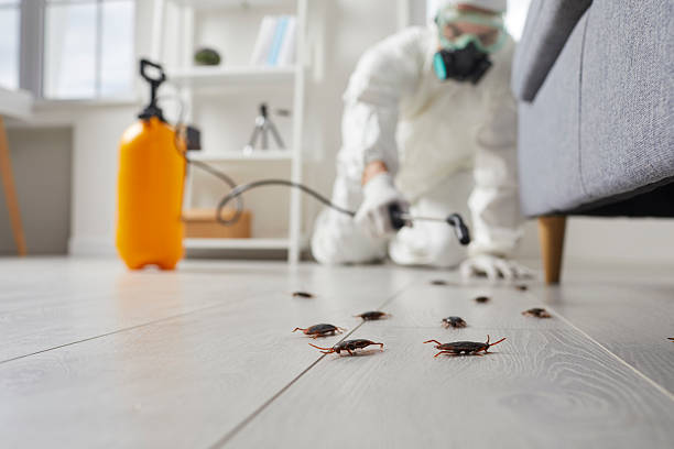 Post-Treatment Bed Bug Interceptor Monitoring in Matthews